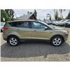 Image 7 : DUNCAN - 2013 FORD ESCAPE GREEN 196365 KMS - JB73023