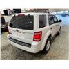 Image 15 : PARKSVILLE - 2011 FORD ESCAPE WHITE 200982 KMS - BB68723
