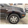 Image 25 : PARKSVILLE - 2005 NISSAN X-TRAIL BLACK 196930 KMS - P001452