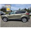Image 15 : DUNCAN - 2013 FORD ESCAPE GREEN 196365 KMS - JB73023