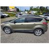Image 16 : DUNCAN - 2013 FORD ESCAPE GREEN 196365 KMS - JB73023