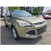 Image 5 : DUNCAN - 2013 FORD ESCAPE GREEN 196365 KMS - JB73023