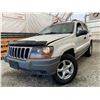 Image 1 : PARKSVILLE - 1999 JEEP GRAND CHEROKEE WHITE 246864 KMS - P575025