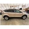 Image 11 : PARKSVILLE - 2017 FORD ESCAPE GRAY 205471 KMS - BB47511