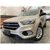 Image 1 : PARKSVILLE - 2017 FORD ESCAPE GRAY 205471 KMS - BB47511