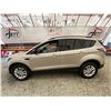 Image 23 : PARKSVILLE - 2017 FORD ESCAPE GRAY 205471 KMS - BB47511