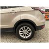 Image 29 : PARKSVILLE - 2017 FORD ESCAPE GRAY 205471 KMS - BB47511