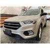 Image 2 : PARKSVILLE - 2017 FORD ESCAPE GRAY 205471 KMS - BB47511