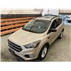 Image 4 : PARKSVILLE - 2017 FORD ESCAPE GRAY 205471 KMS - BB47511