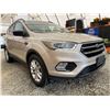 Image 8 : PARKSVILLE - 2017 FORD ESCAPE GRAY 205471 KMS - BB47511