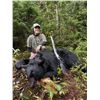 Image 1 : Maine Black Bear Hunt for 1 with Northeast Wilderness Outfitters