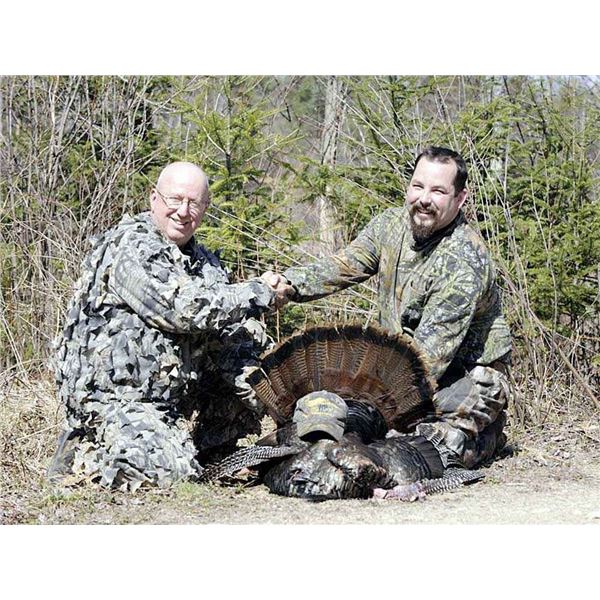 Spring Wild Turkey Hunt in Maine for 1 with Northeast Wilderness Outfitters