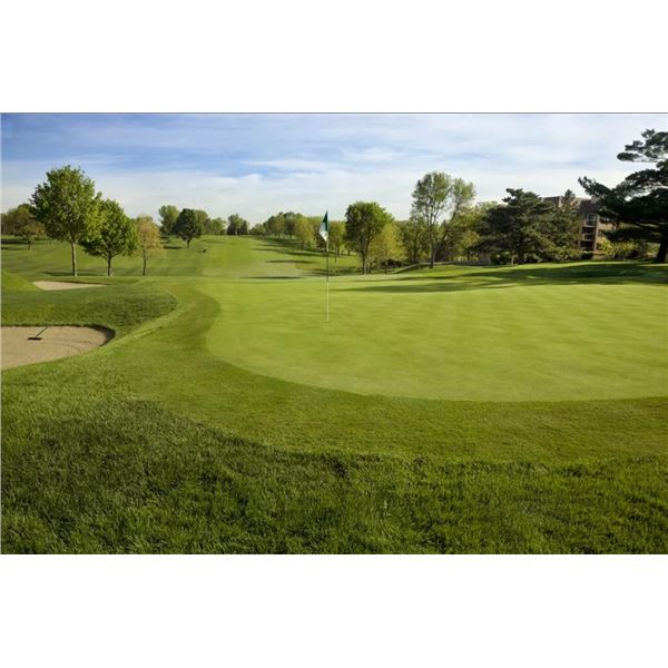 2026 BMW Championship: A Weekend on the Greens in St. Louis for Two
