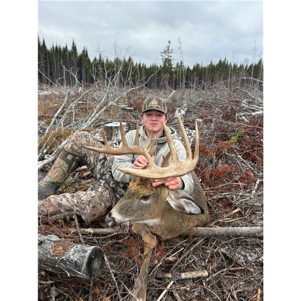 New Brunswick Bear or Whitetail Hunt – 2027 Season