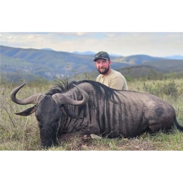 7 Day South Africa Plains Game Safari for 3 Hunters