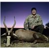 Image 1 : 7 Day South Africa Plains Game Safari for 4 Hunters with White Lion Safaris