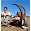 Image 2 : 7 Day South Africa Plains Game Safari for 4 Hunters with White Lion Safaris