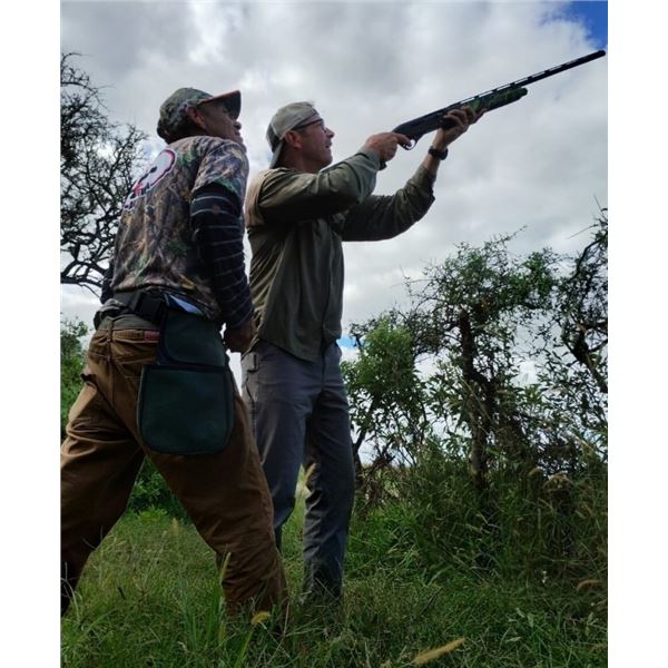 4 Day, 5 Night Argentina Dove Hunt for 6 Hunters