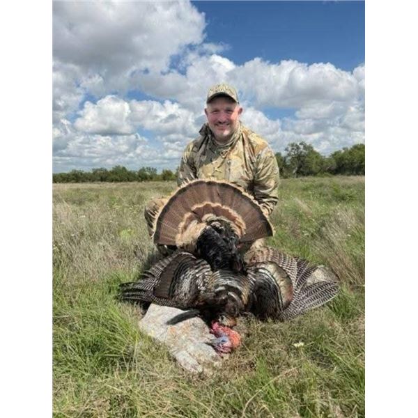 2 day 3 night Texas Rio Hunt for 1 with Sealy Cattle Company Outfitters