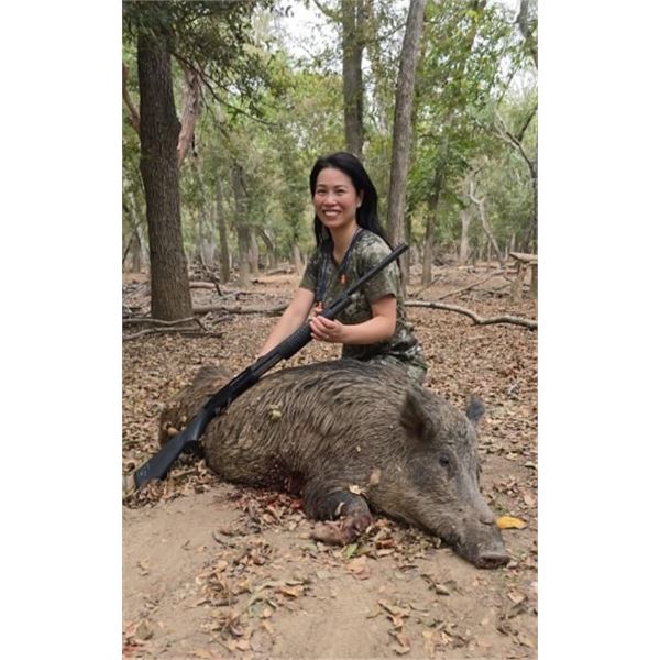 2 Man-3 day, 2 night wild hog hunt package at Independence Ranch