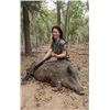 Image 1 : 2 Man-3 day, 2 night wild hog hunt package at Independence Ranch