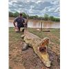 Image 1 : All-Inclusive 7-Day Safari for 1 Hunter with Sandstone safaris