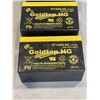 Image 2 : 4 GOLDTONE HG 12V 8AH BATTERIES