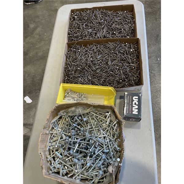 2 TRAYS OF NAILS AND BOX OF THREADED TENSIONING BOLTS