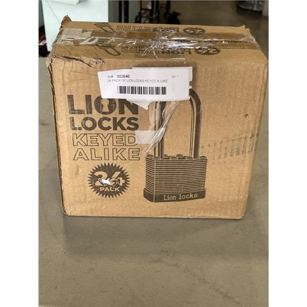 24 PACK OF LION LOCKS KEYED A LIKE LOCKS