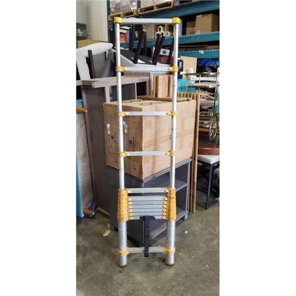 TELESCOPIC LADDER