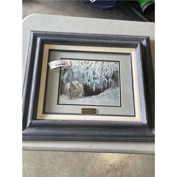FRAMED DOZING LYNX BY ROBERT BATEMAN