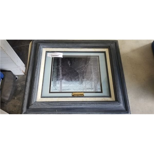 FRAMED MIDNIGHT BLACK WOLF BY ROBERT BATEMAN
