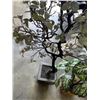 Image 4 : 3 FAKE TREES