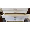 Image 3 : WHITE ORAGNIZER CABINET