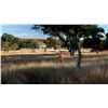 Image 1 : JOSHUA CREEK RANCH: Mixed Bag Upland Bird Hunt for Two Hunters