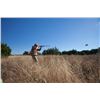 Image 2 : JOSHUA CREEK RANCH: Mixed Bag Upland Bird Hunt for Two Hunters