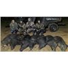 Image 2 : GERHART OUTDOORS: Night Vision & Thermal Hog Hunt for Two Hunters in Texas