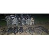 Image 4 : GERHART OUTDOORS: Night Vision & Thermal Hog Hunt for Two Hunters in Texas