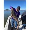 Image 3 : LABELLE FISHING: Guided Fishing Trip for Four Anglers at Buchanan Dam