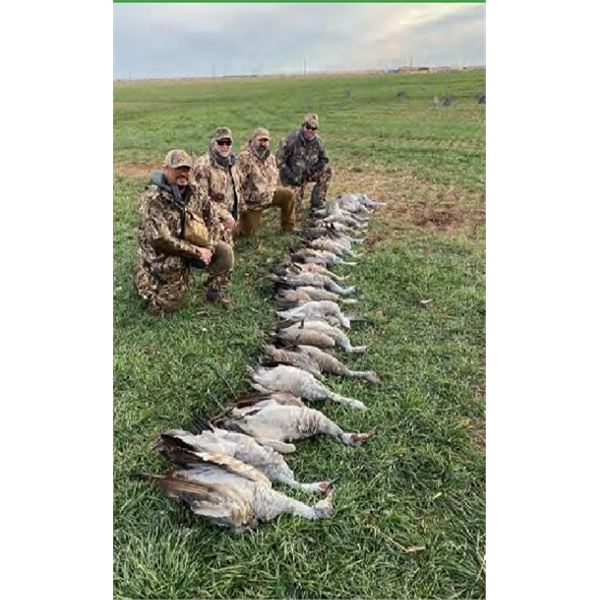 GERHART OUTDOORS: Texas Sandhill Crane & Waterfowl Hunt for Four Hunters