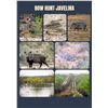 Image 2 : LUNDELL'S CALICHE RANCH: South Texas Bowhunting Javelina Hunt for Two Hunters