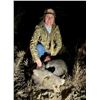 Image 3 : LUNDELL'S CALICHE RANCH: South Texas Bowhunting Javelina Hunt for Two Hunters