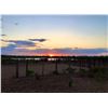 Image 6 : LUNDELL'S CALICHE RANCH: South Texas Bowhunting Javelina Hunt for Two Hunters