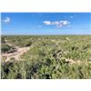Image 7 : LUNDELL'S CALICHE RANCH: South Texas Bowhunting Javelina Hunt for Two Hunters