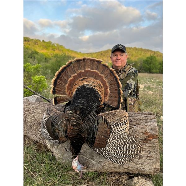 CHERRY CREEK RANCH: 2-Day Hill Country Turkey Hunt for Two Hunters Near Comfort, Texas