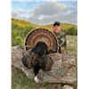 Image 1 : CHERRY CREEK RANCH: 2-Day Hill Country Turkey Hunt for Two Hunters Near Comfort, Texas