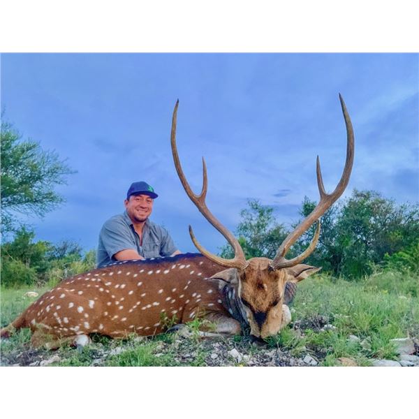 TEXAS HUNTING RESOURCES: 3-Day Trophy Axis Hunt in the Texas Hill Country