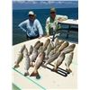 Image 4 : TAIL CHASER CHARTERS: 2-Day Lower Laguna Madre Fishing Trip for Three Anglers in Port Mansfield