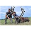 Image 1 : FLYING A RANCH: 3-Day Trophy Red Deer Hunt for One Hunter in the Texas Hill Country
