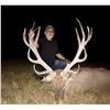 Image 3 : FLYING A RANCH: 3-Day Trophy Red Deer Hunt for One Hunter in the Texas Hill Country